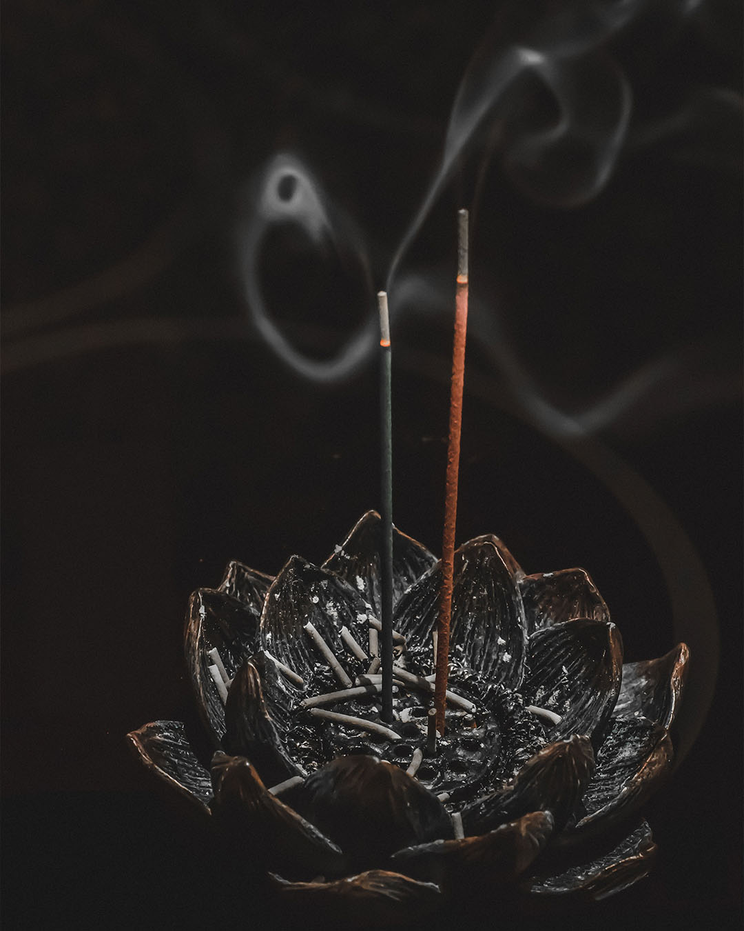 andreas-bader-home-1-back